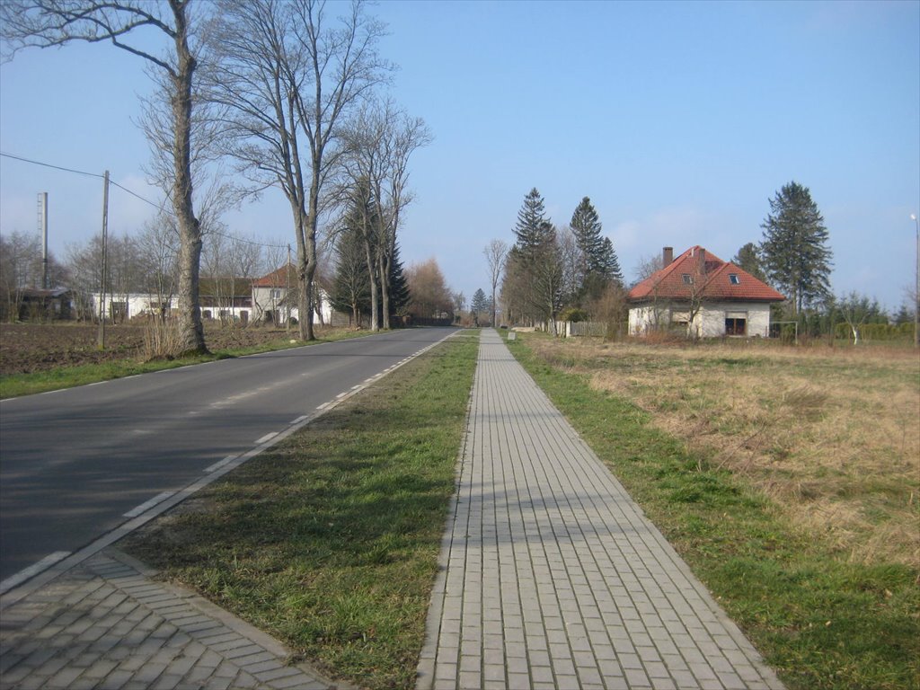 Działka budowlana na sprzedaż Głobino, Pogodna  13 800m2 Foto 16