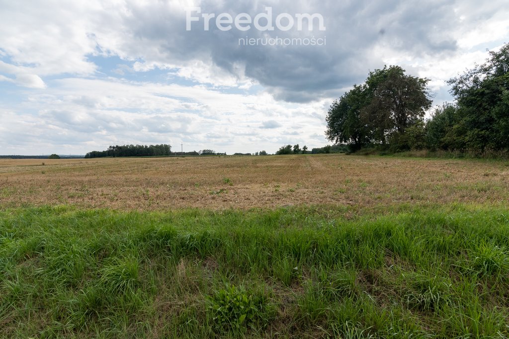 Działka budowlana na sprzedaż Brodna  2 119m2 Foto 4