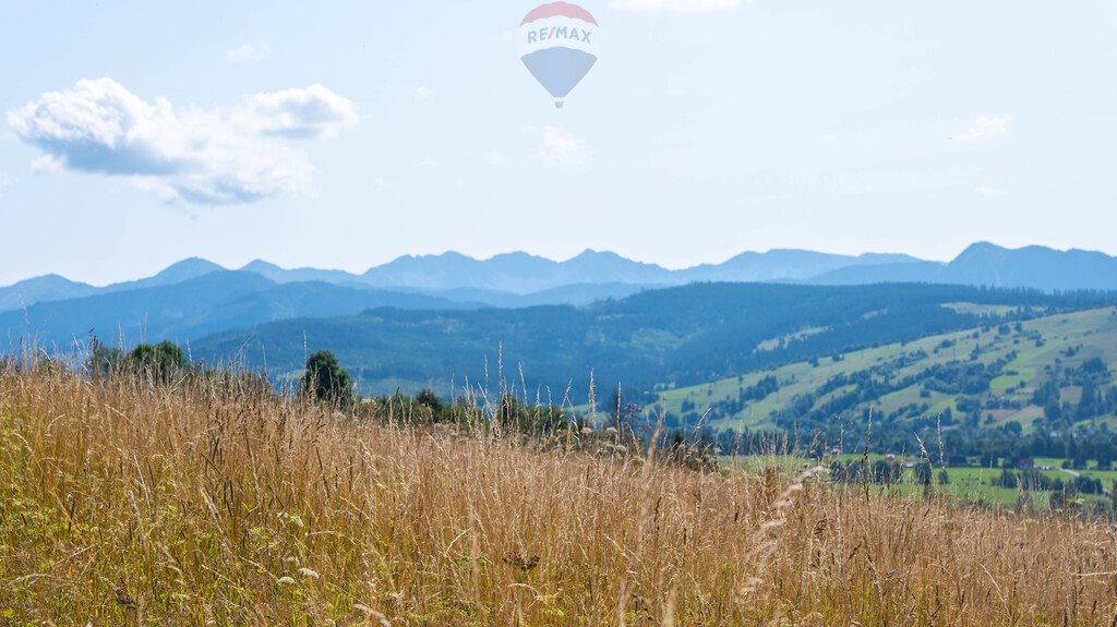 Działka rolna na sprzedaż Dzianisz  6 563m2 Foto 1