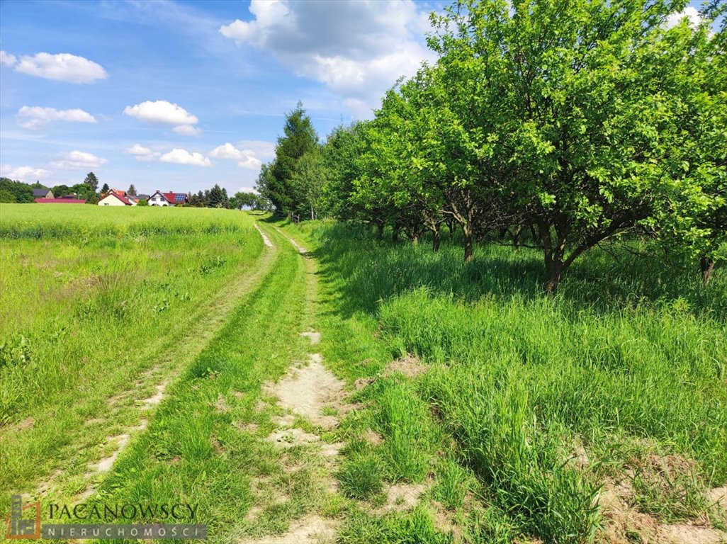 Działka rolna na sprzedaż Korzkiew  6 617m2 Foto 3