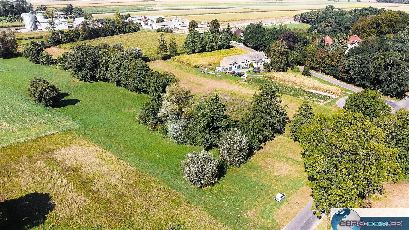 Działka budowlana na sprzedaż Borucin  15 658m2 Foto 11