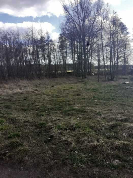 Działka budowlana na sprzedaż Polkowice  8 000m2 Foto 3