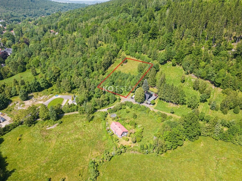 Do sprzedania działka 6 000 m² z panoramicznym widokiem na góry Świeradów-Zdrój, Wilcza  6 000m2 Foto 1