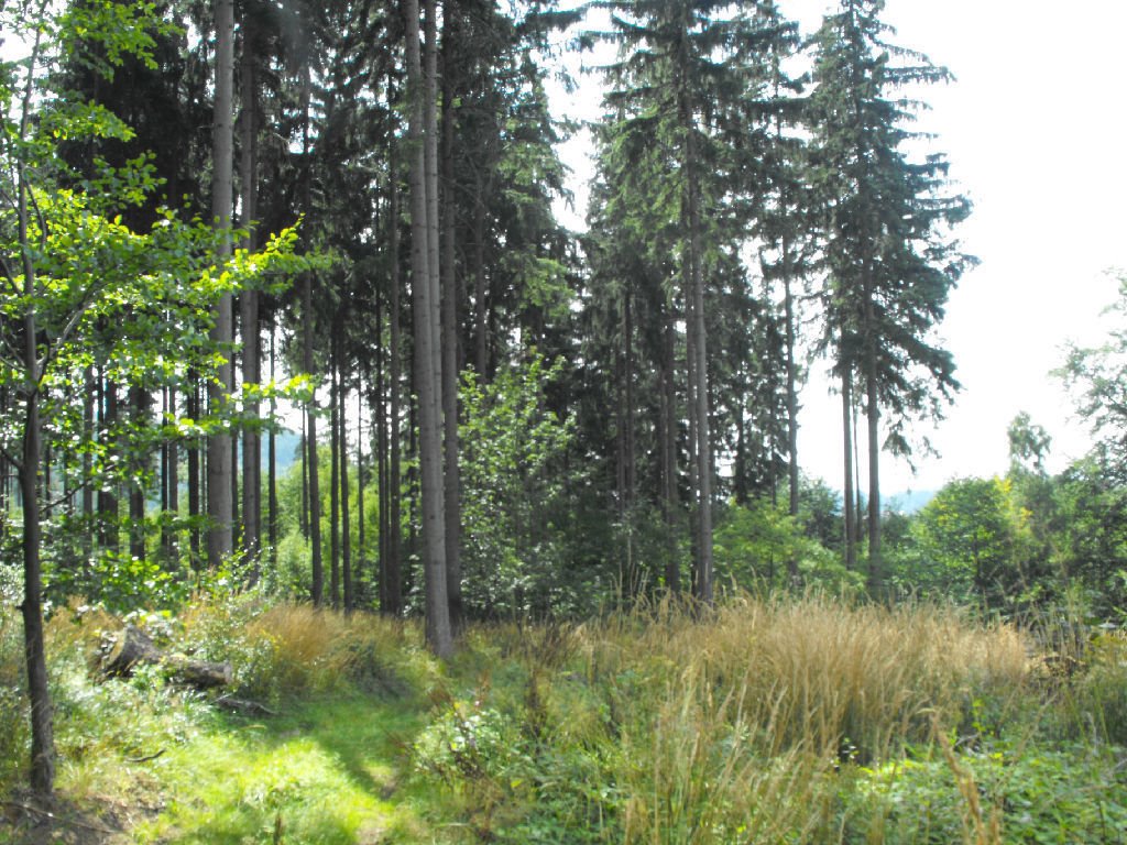 Działka inna na sprzedaż Boguszów-Gorce  80 000m2 Foto 8