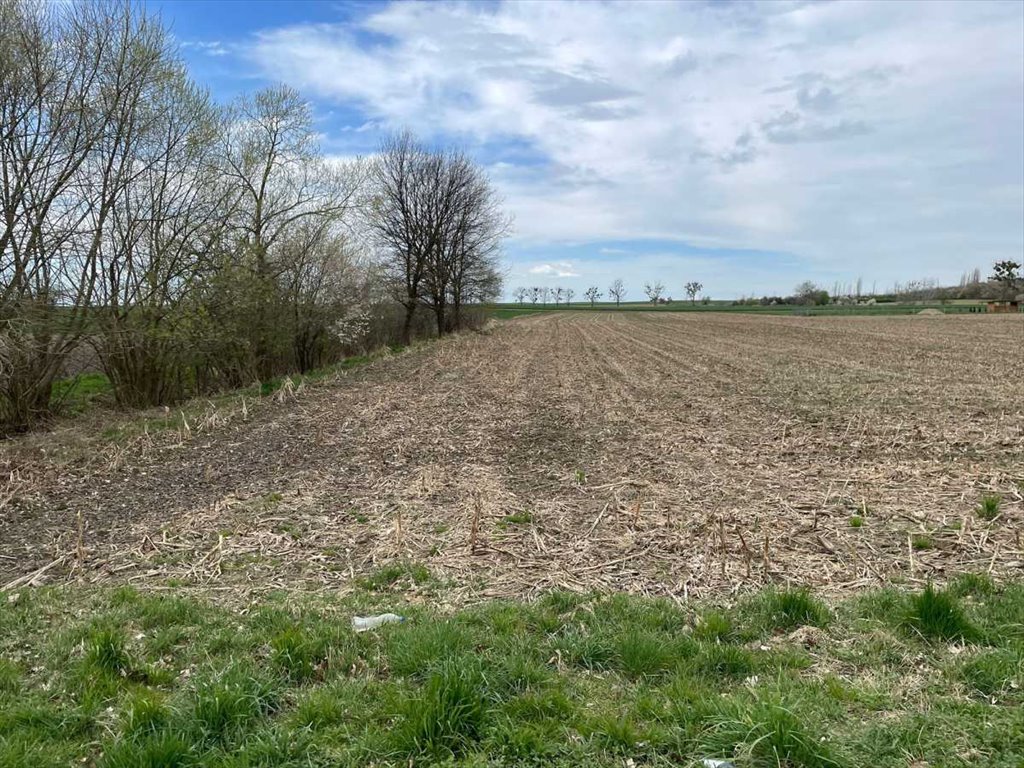 Na sprzedaż działka budowlana 11 arów przy drodze asfaltowej Drzemlikowice, Drzemlikowice  1 100m2 Foto 1
