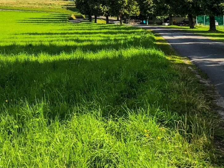 Działka gospodarstwo rolne na sprzedaż Kudrycze  10 000m2 Foto 2