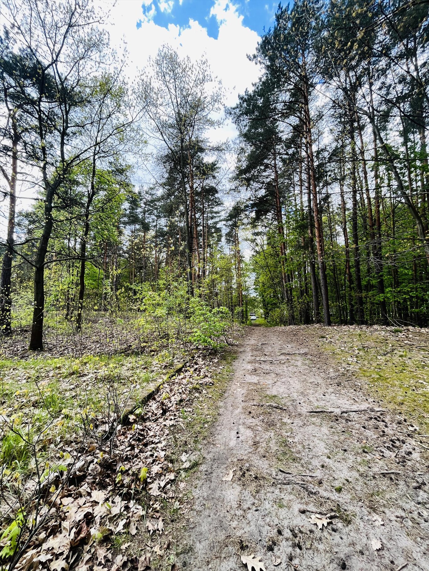 Działka inna na sprzedaż Wołomin, Orzechowa  2 000m2 Foto 7