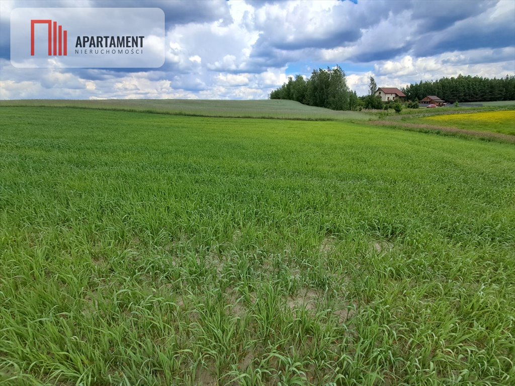 Działka gospodarstwo rolne na sprzedaż Bysław  3 000m2 Foto 10