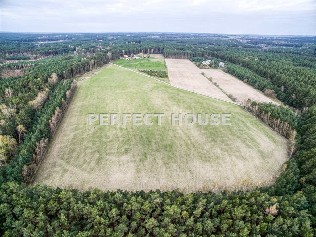 Działka 2,2 ha z 21 działkami pod zabudowę jednorodzinną Dąbrowa  22 293m2 Foto 1