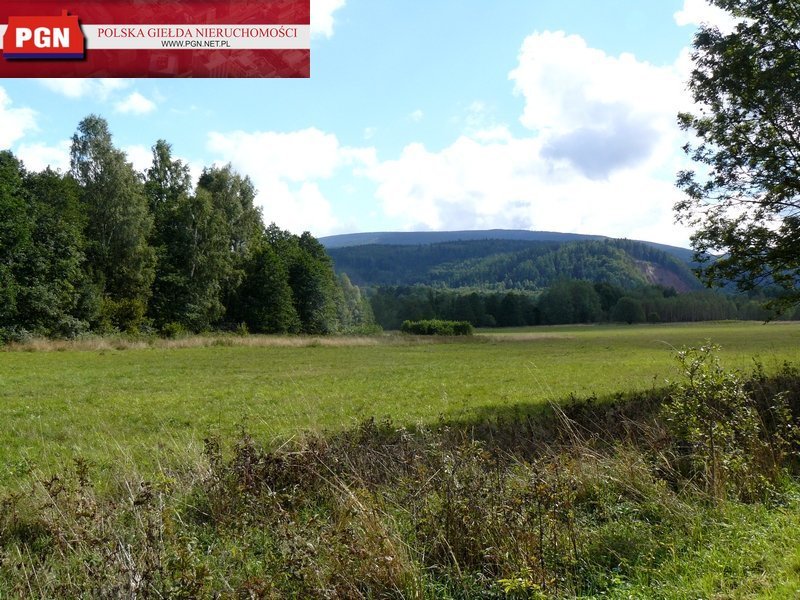 Działka inna na sprzedaż Bystrzyca Kłodzka  1 000m2 Foto 2