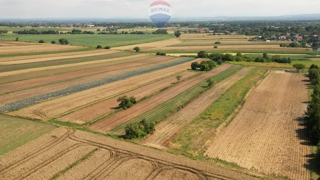 Działka budowlana na sprzedaż Krzysztoforzyce  5 500m2 Foto 10