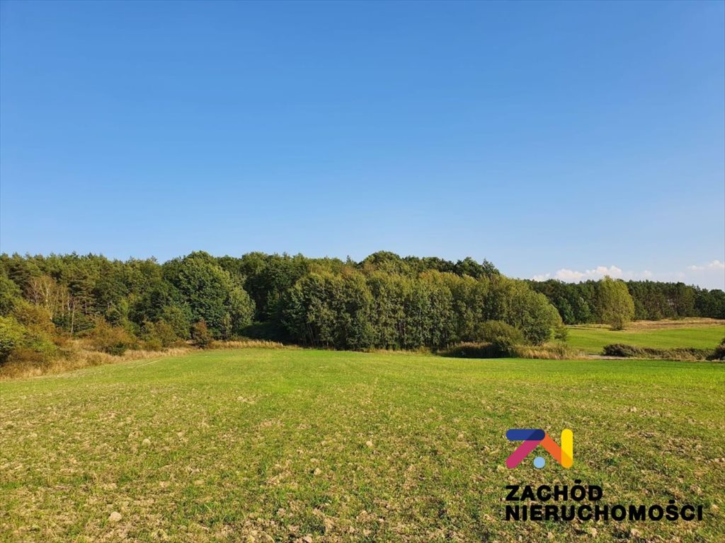 Działka budowlana na sprzedaż Drągowina  1 565m2 Foto 1