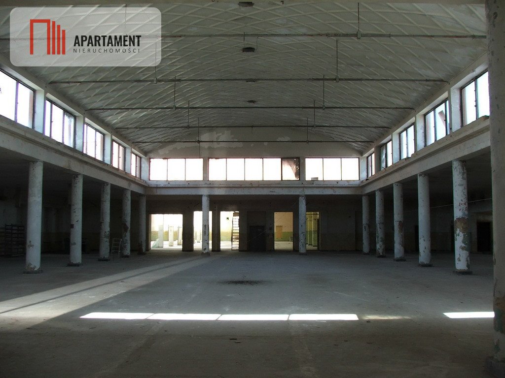 Lokal użytkowy na sprzedaż Skarżysko-Kamienna, Legionów  6 600m2 Foto 2