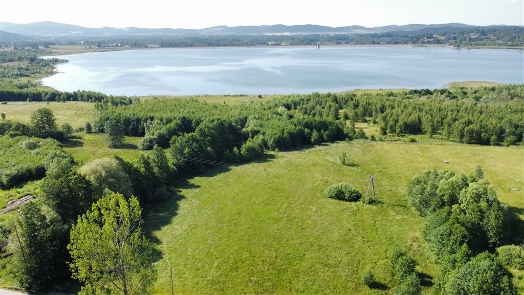 Działka inwestycyjna 10 315 m² w Sosnówce z mediami Sosnówka  10 315m2 Foto 1