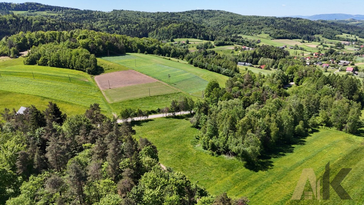 Działka budowlana na sprzedaż Podole-Górowa  4 000m2 Foto 3