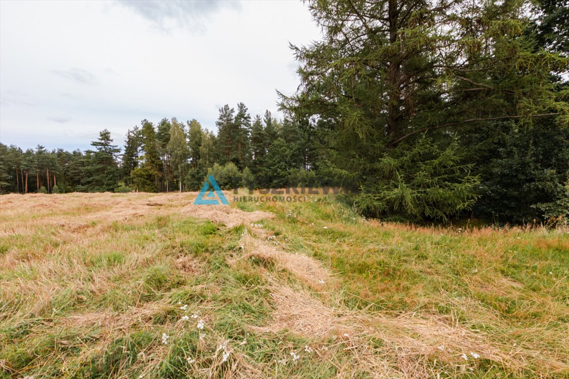 Działka rolna na sprzedaż Załęże, Kasztanowa  3 000m2 Foto 12