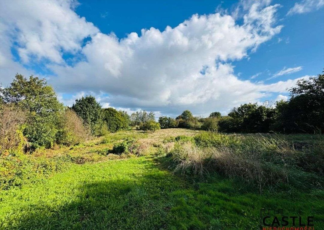 Działka budowlana na sprzedaż Gorzyno  5 800m2 Foto 8