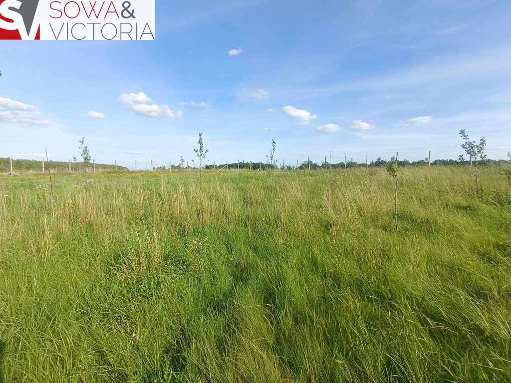 Działka inna na sprzedaż Cieszów  4 624m2 Foto 2