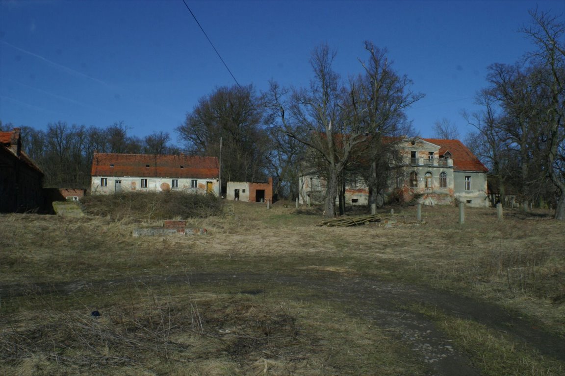 Lokal użytkowy na sprzedaż Wińsko  470 000m2 Foto 4