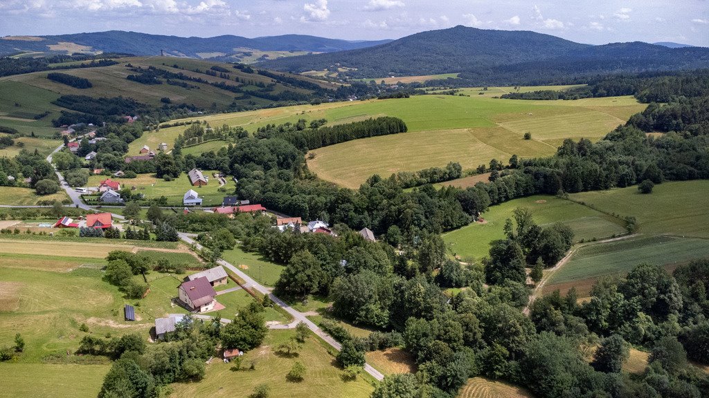 Działka leśna na sprzedaż Jaworze  48 013m2 Foto 5