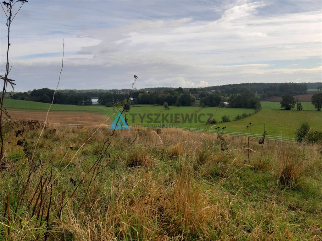 Działka budowlana na sprzedaż Sucumin  3 498m2 Foto 12