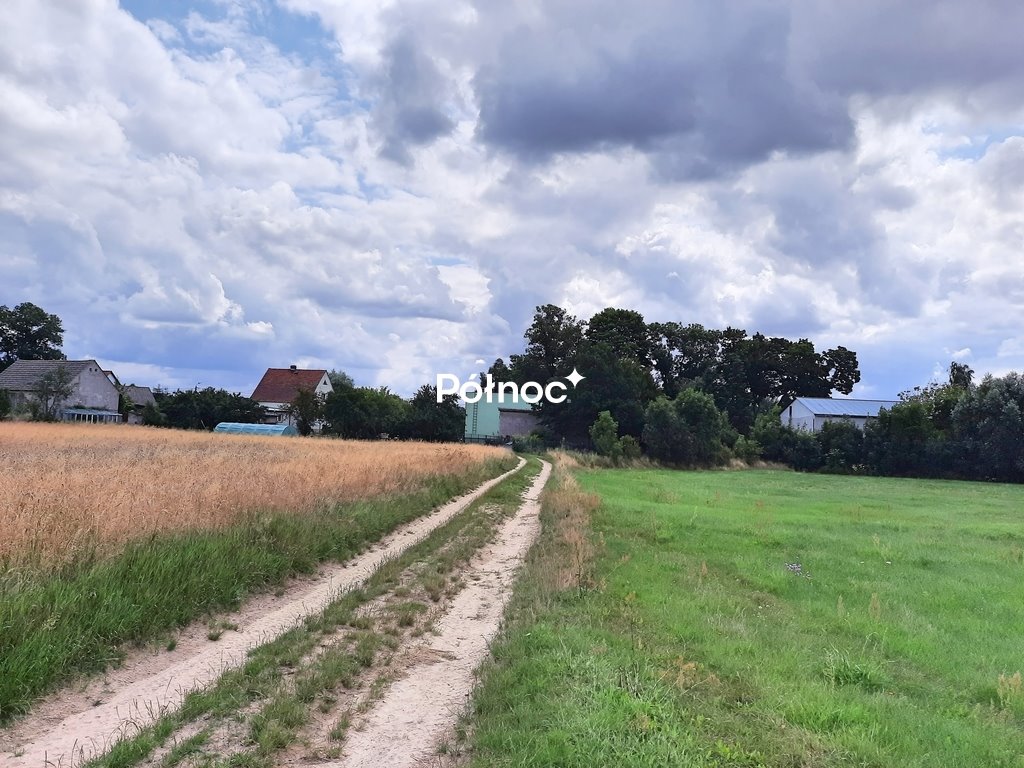 Działka rolna 3000 m² z dobrym dojazdem w Zebrzydowej Zebrzydowa  3 000m2 Foto 1