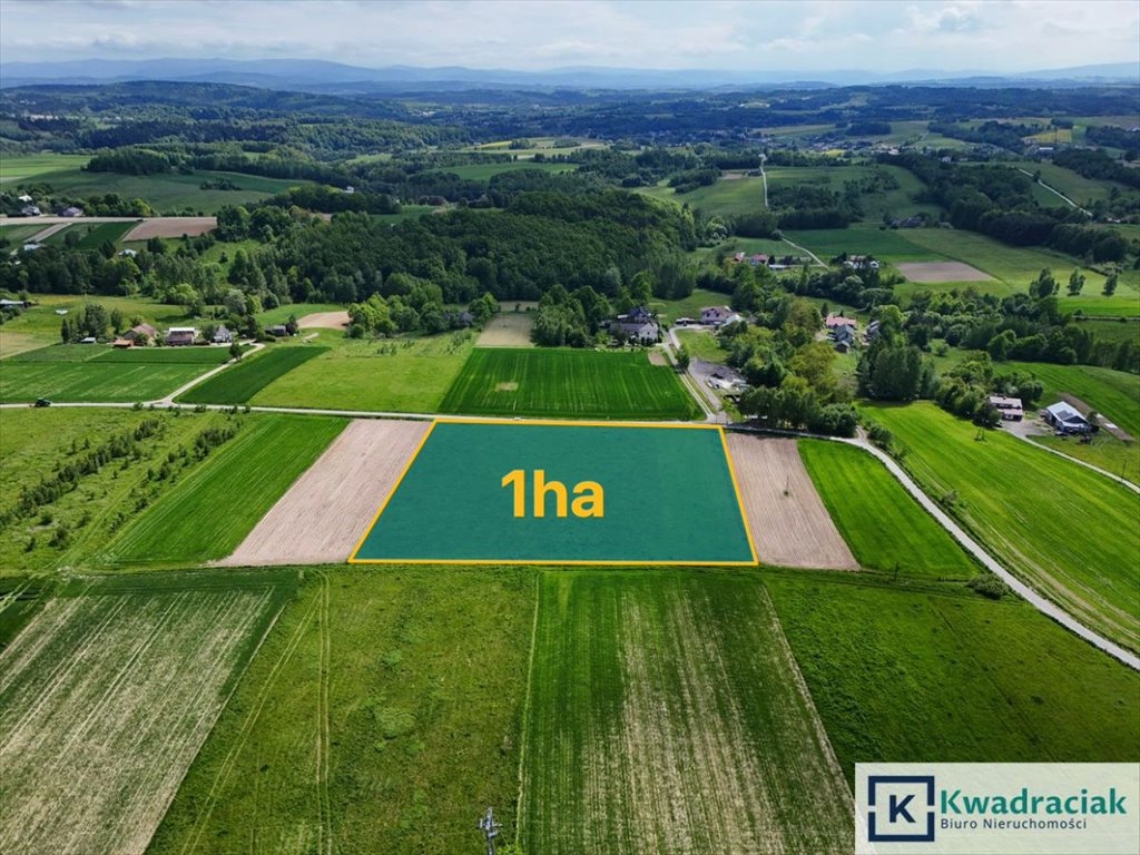 Widokowa działka 1,05 ha z dostępem do mediów i słoneczną ekspozycją Czermna  10 500m2 Foto 1