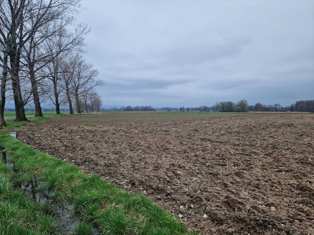 Działka inna na sprzedaż Łagiewniki, Jaźwina  5 900m2 Foto 3