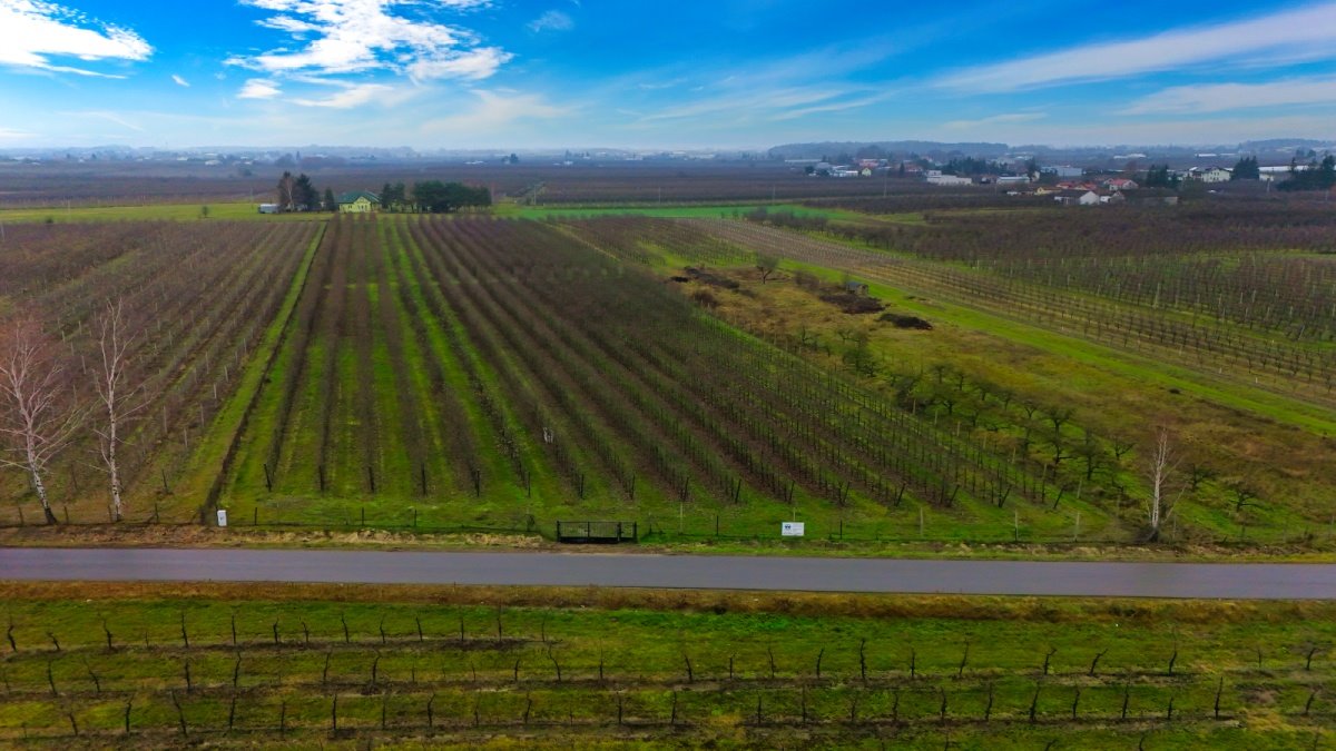 Działka budowlana na sprzedaż Warpęsy  1 200m2 Foto 1