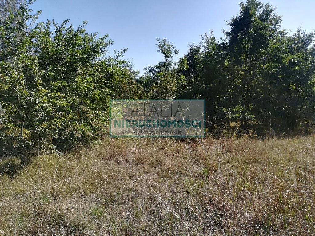 Działka 5700 m² w Milanówku z mediami - polecam Milanówek  5 700m2 Foto 1