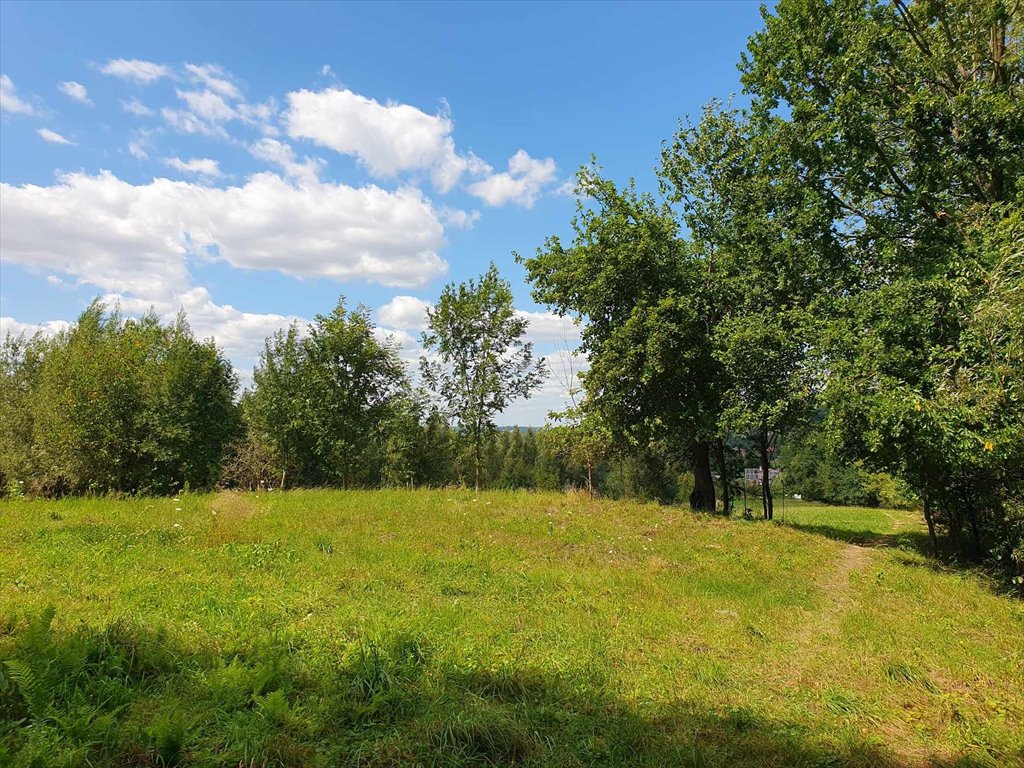 Działka budowlana na sprzedaż Tyczyn, Zagrody  1 825m2 Foto 6