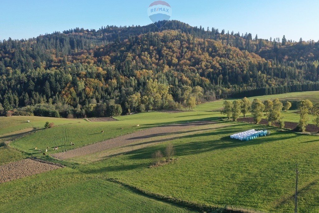 Działka budowlana na sprzedaż Falsztyn  1 202m2 Foto 4