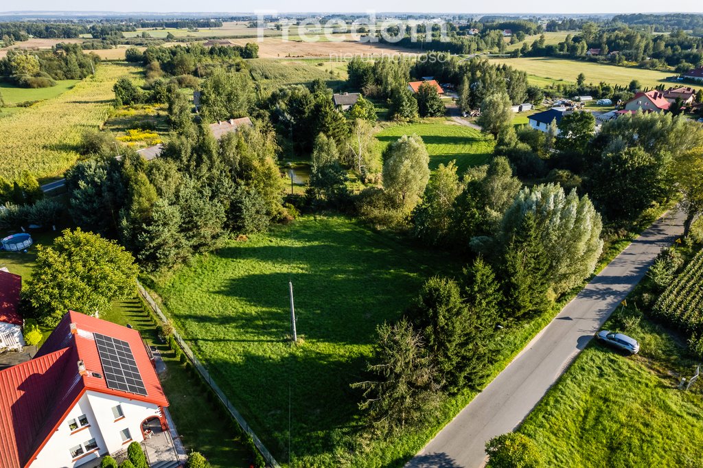 Działka budowlana na sprzedaż Frednowy  2 000m2 Foto 4