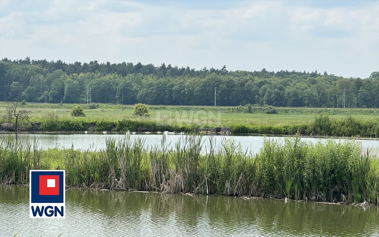 Dom na sprzedaż Sprowa, Sprowa  170m2 Foto 15