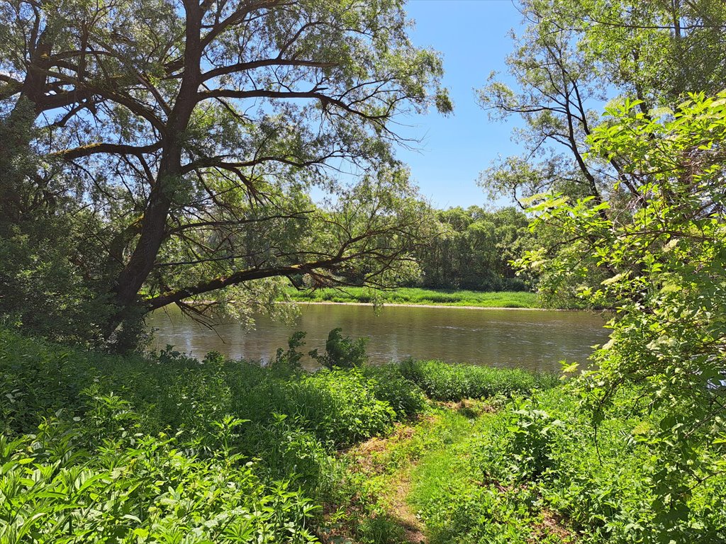 Działka rolna na sprzedaż Ulucz  529m2 Foto 15