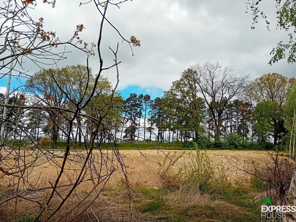 Działka komercyjna na sprzedaż Stasin  6 900m2 Foto 2