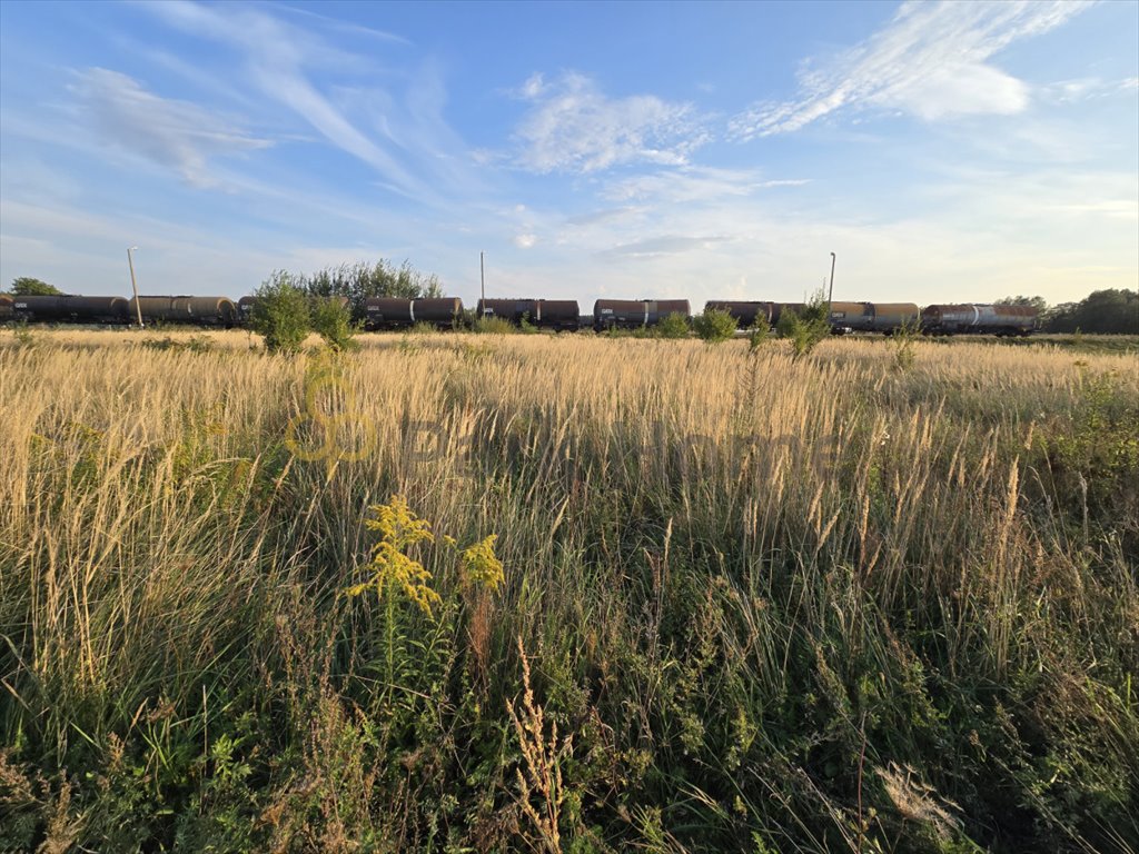 Działka budowlana na sprzedaż Lasocice  1 200m2 Foto 1