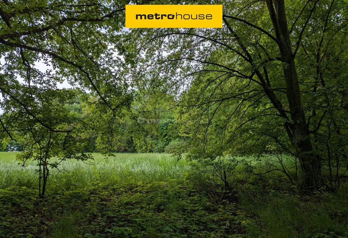 Zabytkowy park z starodrzewem i rzeką – idealny teren inwestycyjny Maruszewiec  72 700m2 Foto 1