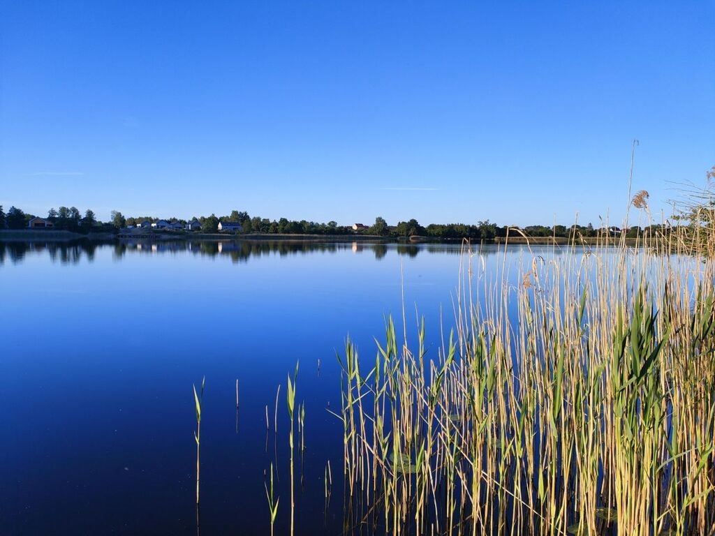 Działka 2 434 m² z domkiem i ogrodem, blisko jeziora Wiechowo  2 434m2 Foto 1