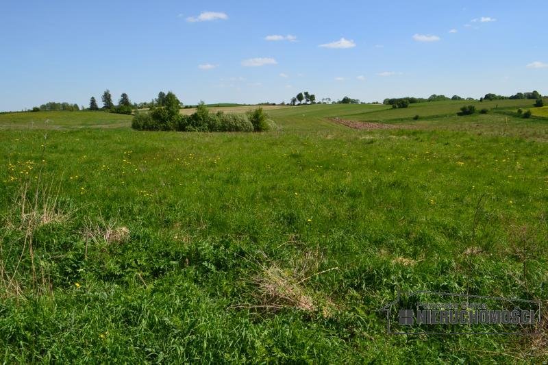 Działka budowlana na sprzedaż Czarne Wielkie  14 009m2 Foto 9