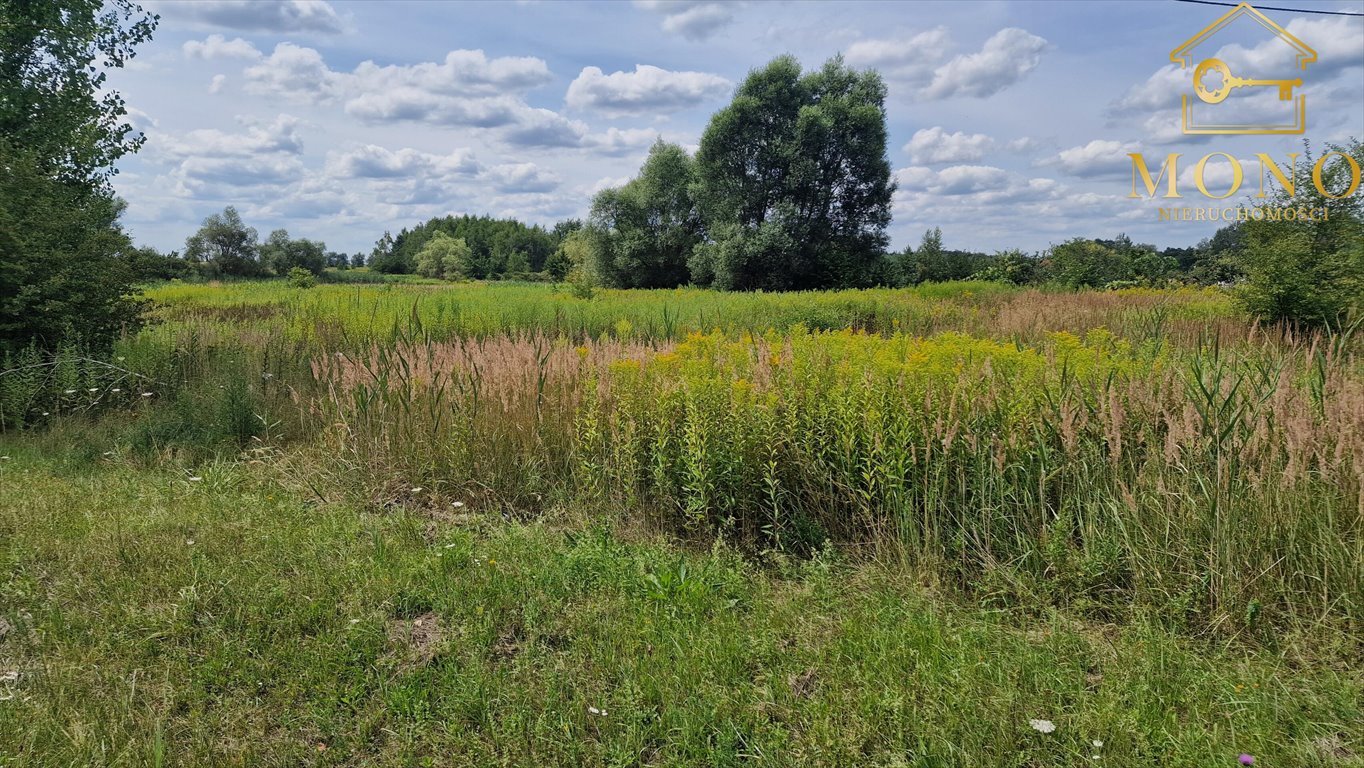 Działka rolna na sprzedaż Gadawa  13 350m2 Foto 7