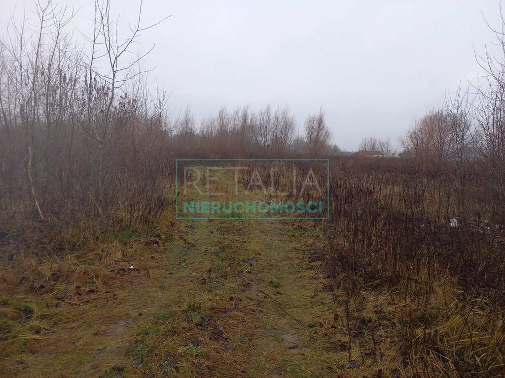 Duża działka 39 335 m² pod inwestycje, blisko A2 Kłudno Nowe  39 335m2 Foto 1