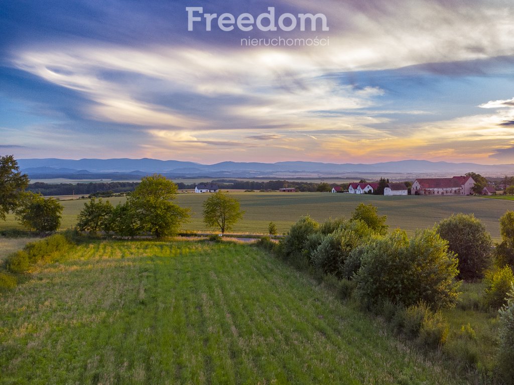 Działka budowlana na sprzedaż Nadziejów  5 130m2 Foto 8