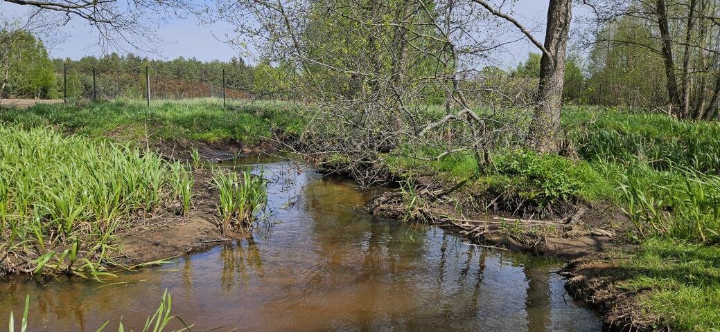 Działka rekreacyjna na sprzedaż Wydmusy  1 661m2 Foto 8