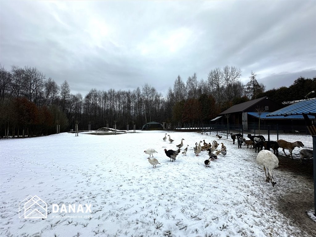 Lokal użytkowy na wynajem Giebułtów, Brzozowa  5 000m2 Foto 11