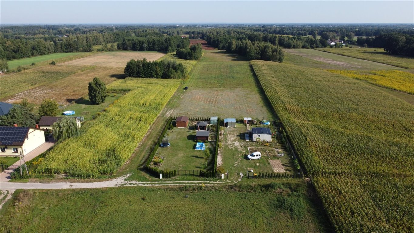 Działka rolna na sprzedaż Feliksów  5 568m2 Foto 10