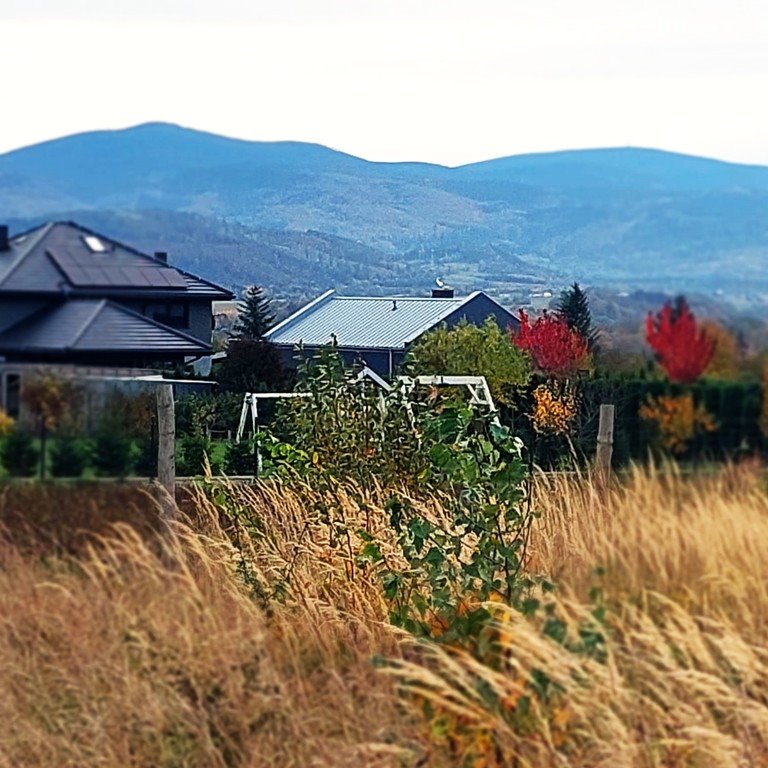 Działka inna na sprzedaż Bystrzyca Kłodzka  1 625m2 Foto 5