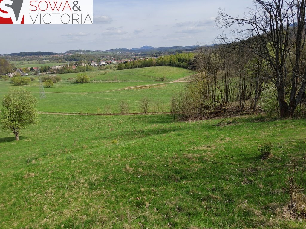 Działka rekreacyjna na sprzedaż Boguszów-Gorce, Stary Lesieniec  7 168m2 Foto 1