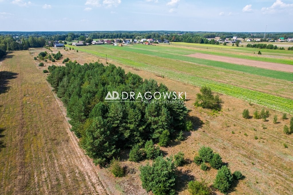 Działka budowlana na sprzedaż Białebłoto-Stara Wieś  48 700m2 Foto 3