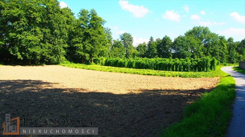 Działka rolna na sprzedaż Pękowice  3 900m2 Foto 2